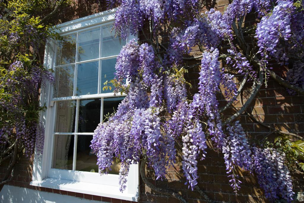 허스트먼슈 보어햄 하우스 B&B 외부 사진